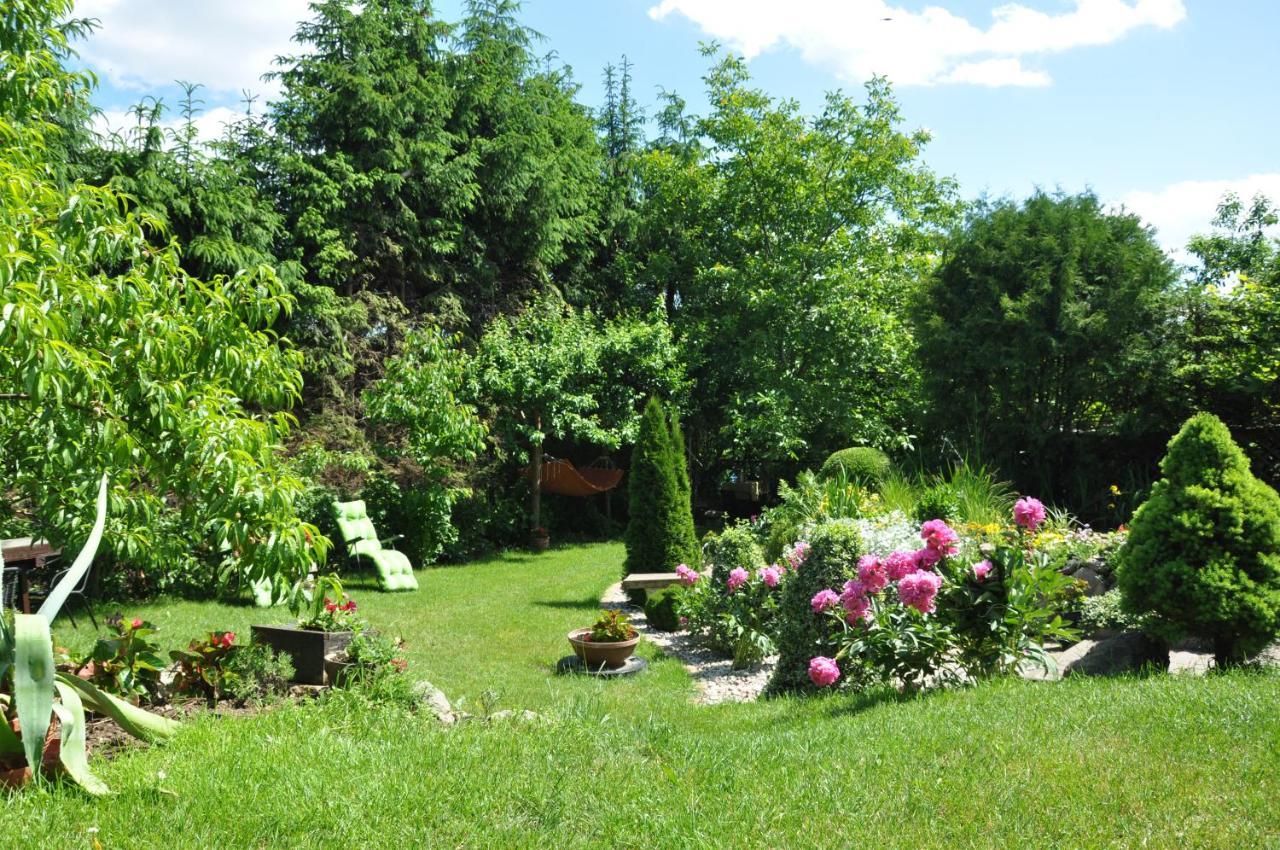 Oaza U Tadeusza Lägenhet Augustów Exteriör bild