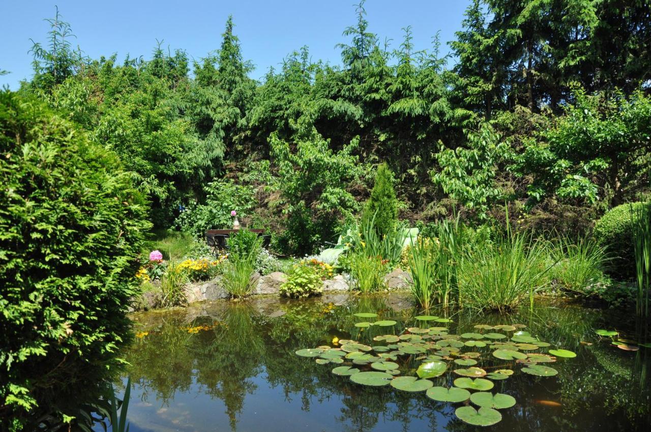 Oaza U Tadeusza Lägenhet Augustów Exteriör bild